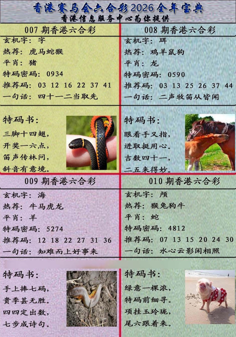 010期宝典报[图]