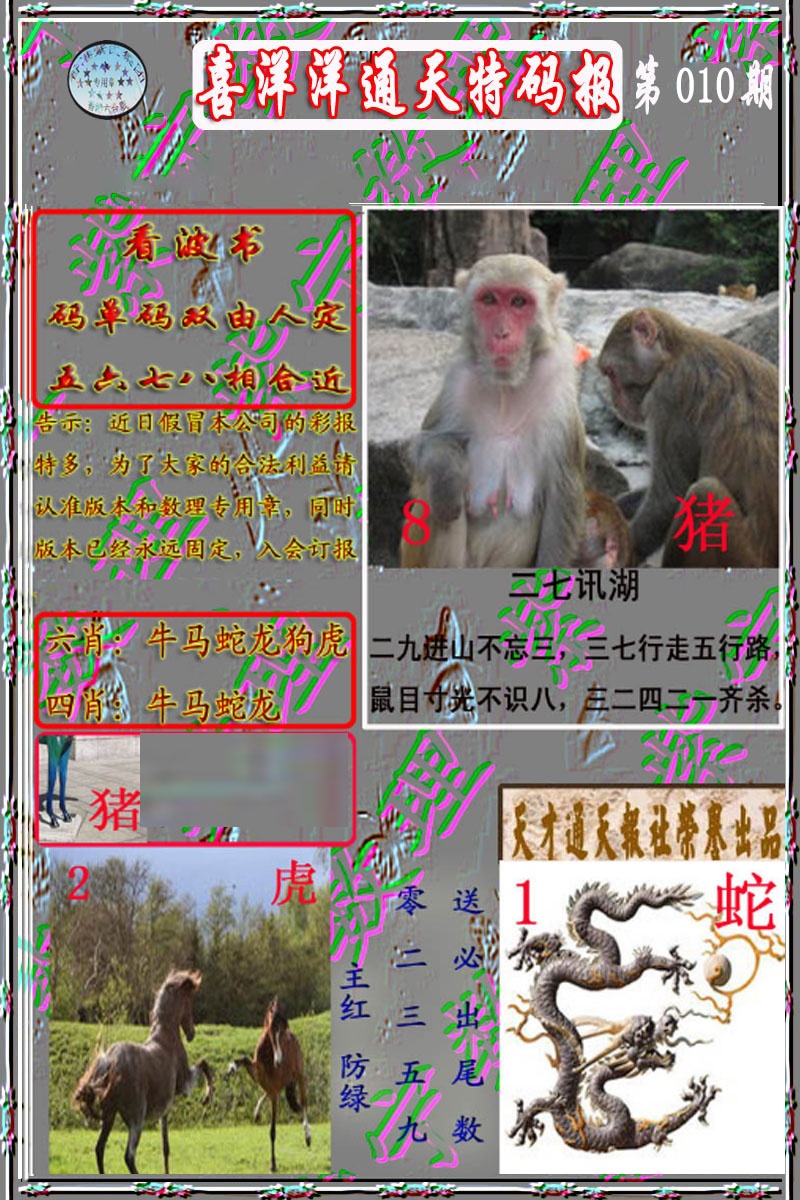 010期洋通报[图]