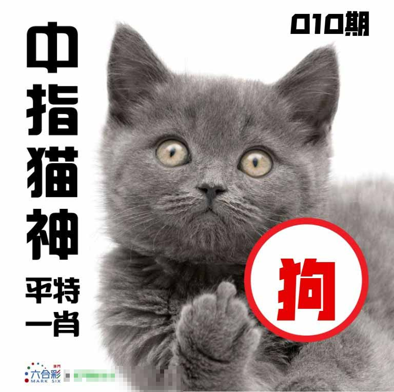 010期中指猫神[图]