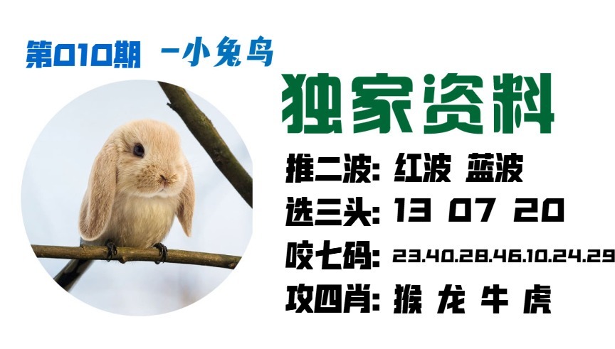 010期小兔鸟[图]