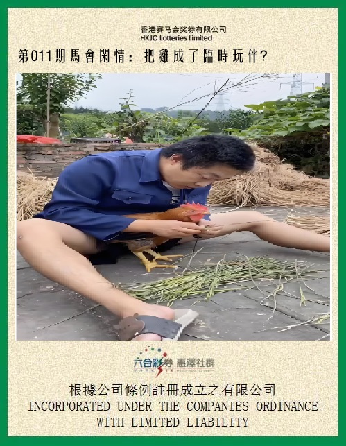 011期马会闲情[图]